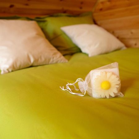 Au Pied Du Frene Villa Herzeele Eksteriør billede